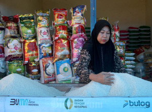 Bapanas Mencatat Realisasi Penyerapan Produksi Dalam Negeri Telah Mencapai 90,08%