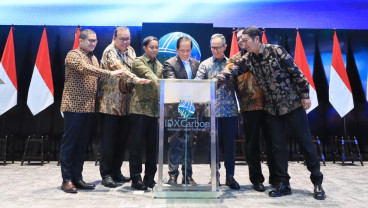 Strategi BEI Pacu Perdagangan Kredit Karbon di IDX Carbon