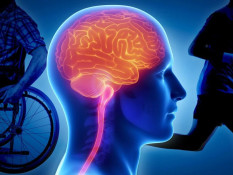 Peran Ahli Neurologi dalam Penanganan Penyakit Saraf