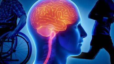 Peran Ahli Neurologi dalam Penanganan Penyakit Saraf