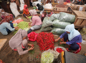 BPS Mencatat Inflasi di Ibu Kota Pada Juni 2025 Mencapai 0,13%
