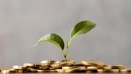 Tips Investasi dan Cara Mengelola Risiko