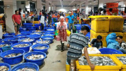 Ekspor Udang Indonesia ke AS Tetap Tertekan Meski Trump Patok Tarif Impor RI 19%