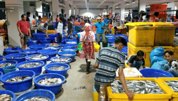 Ekspor Udang Indonesia ke AS Tetap Tertekan Meski Trump Patok Tarif Impor RI 19%