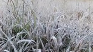 Kata BMKG Soal Fenomena Embun Beku di Puncak Musim Kemarau