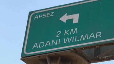 Wilmar Caplok Saham Agribisnis India, Memperluas Jejak di Pasar Asia