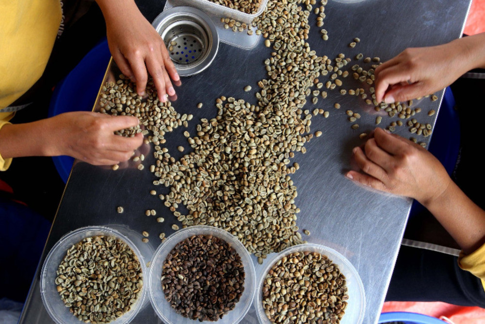 Gonjang-ganjing Tarif Trump di Pasar Kopi Global, Harga akan Kembali Pahit?