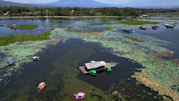 Gulma Kuasai 56 Hektare Situ Bagendit, Wisata Air Garut Terancam Mati