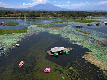 Gulma Kuasai 56 Hektare Situ Bagendit, Wisata Air Garut Terancam Mati