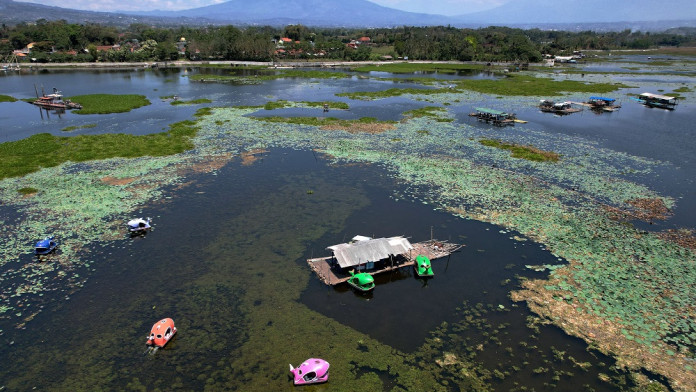 Gulma Kuasai 56 Hektare Situ Bagendit, Wisata Air Garut Terancam Mati