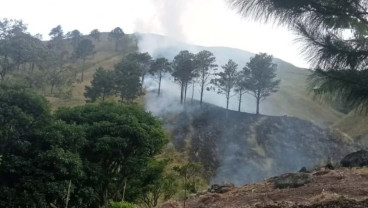 Riau Masuk Puncak Musim Kemarau, Titik Panas Karhutla Capai 48 Lokasi