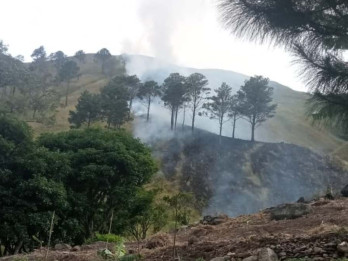 Riau Masuk Puncak Musim Kemarau, Titik Panas Karhutla Capai 48 Lokasi