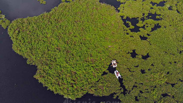 Pembersihan Eceng Gondok di Situ Gunung Putri