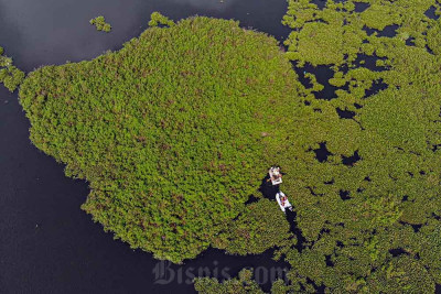 Pembersihan Eceng Gondok di Situ Gunung Putri