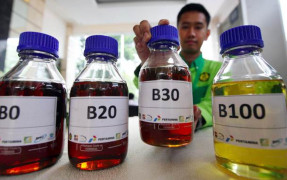 Indonesia Ramps Up B50 Biodiesel, Raising Investment and Export Issues