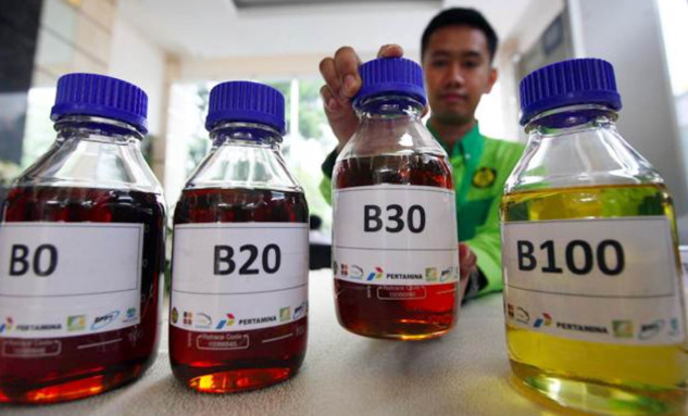 Indonesia Ramps Up B50 Biodiesel, Raising Investment and Export Issues
