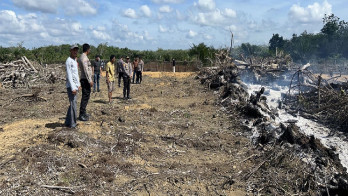 Polda Riau Tangkap Pelaku Pembakar Lahan di Kuansing, Tegaskan Komitmen Green Policing