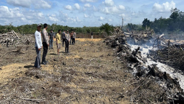 Polda Riau Tangkap Pelaku Pembakar Lahan di Kuansing, Tegaskan Komitmen Green Policing
