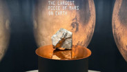 Batu Meteor dari Planet Mars Laku Terjual Rp70 Miliar!