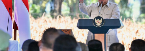 Terungkap! Prabowo Turun Tangan Minta Usut Kasus Beras Oplosan