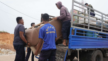 Update Proyek Rempang Eco-City: 436 Warga Tempati Tanjung Banon