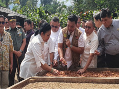 Bali Ekspor 372,3 Ton Kakao ke 10 Negara