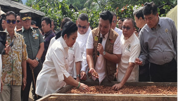 Bali Ekspor 372,3 Ton Kakao ke 10 Negara