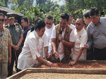 Bali Ekspor 372,3 Ton Kakao ke 10 Negara
