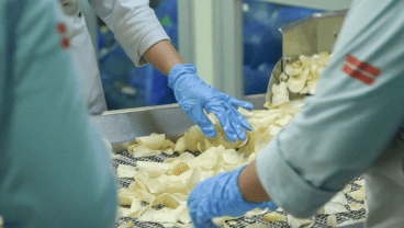 Dukungan BNI Dorong Maxi Snacks Perluas Kisah Sukses di Pasar Global