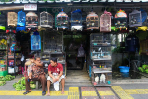 Relokasi Pasar Hewan Barito Ke Lenteng Agung