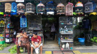 Relokasi Pasar Hewan Barito Ke Lenteng Agung