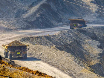 Kompaknya BlackRock dan Vanguard di Amman Mineral (AMMN)