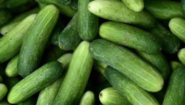Ini Dia 3 Makanan yang Bisa Meningkatkan Fungsi Ginjal