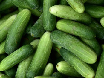 Ini Dia 3 Makanan yang Bisa Meningkatkan Fungsi Ginjal