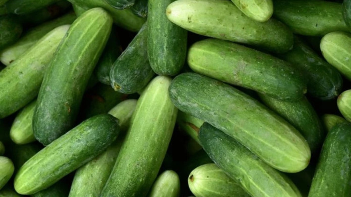Ini Dia 3 Makanan yang Bisa Meningkatkan Fungsi Ginjal