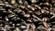 Pertamina Geotermal (PGEO) Ekspor Perdana 15 Ton Kopi Geotermal Kamojang