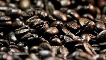 Pertamina Geotermal (PGEO) Ekspor Perdana 15 Ton Kopi Geotermal Kamojang