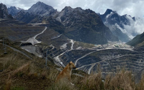 Indonesia Reaffirms Downstream Commitment Amid U.S. Tariff Pressures