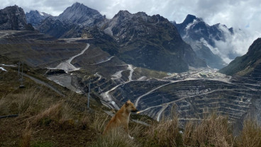 Indonesia Reaffirms Downstream Commitment Amid U.S. Tariff Pressures