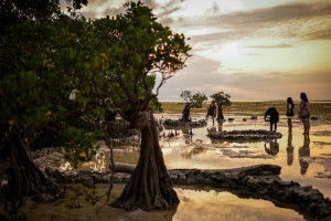 Target Pertumbuhan Ekonomi Dari Sektor Pariwisata