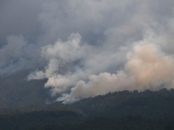 Karhutla di Riau, 29 Tersangka Ditangkap dalam Sepekan
