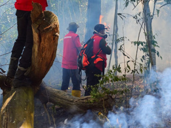 Pelaku Karhutla di Sumbar Telah Ada yang Ditangkap, Kerusakan Lahan Capai 301 Ha