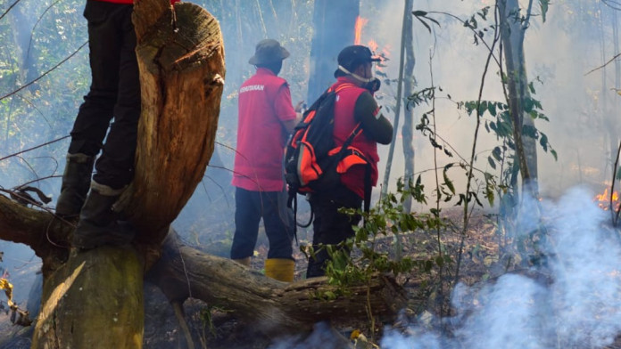 Pelaku Karhutla di Sumbar Telah Ada yang Ditangkap, Kerusakan Lahan Capai 301 Ha