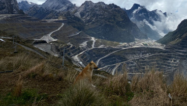 Freeport Buka Opsi Kirim Tembaga RI ke AS Meski Trump Kenakan Tarif 50%