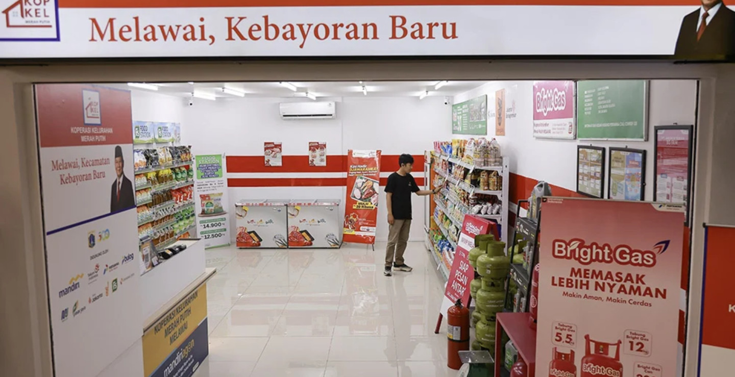 How State-Owned Banks Manage Credit Risks in the Village Co-Ops Program