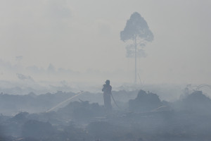 Karhutla Hari Kelima di Muaro Jambi