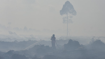 Karhutla Hari Kelima di Muaro Jambi