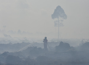 Karhutla Hari Kelima di Muaro Jambi