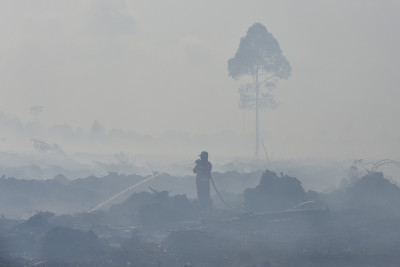 Karhutla Hari Kelima di Muaro Jambi