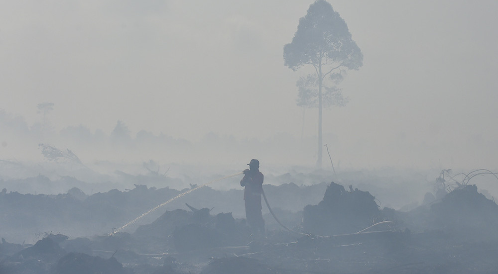 Karhutla Hari Kelima di Muaro Jambi